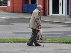 Nová služba města Plzně pomůže seniorům i lidem v nouzi s nákupy. Vyvenčí jim i psa