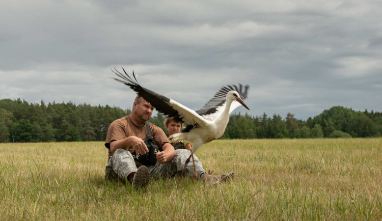 Karel Makoň vypouští do světa čápa Míru vybaveného vysílačkou