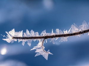 Ranní mráz trhal rekordy v Plzeňském kraji, u Hojsovy Stráže naměřili minus 19,8 stupně