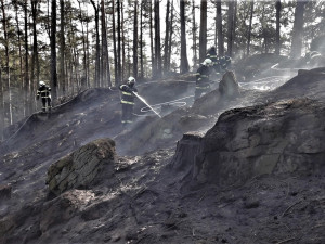 Hasiči bojovali s požárem lesní hrabanky, veřejnost varují před plošným vypalováním trávy