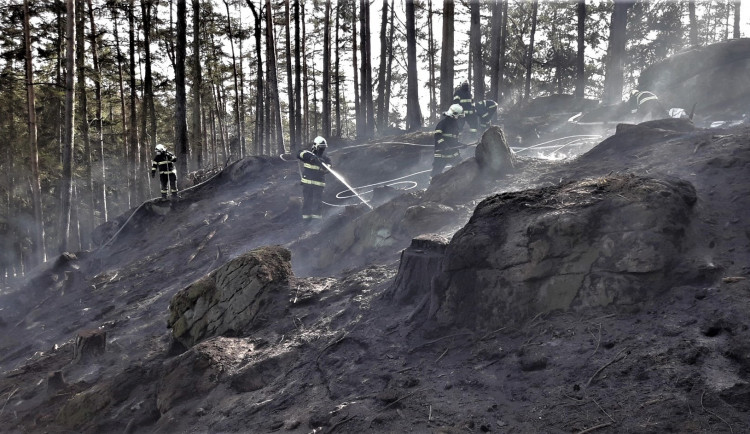 Hasiči likvidují požár hrabanky v lese na Domažlicku