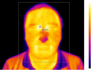 Termogram obličeje člověka, který se pohyboval ve vnitřním prostředí pokojové teploty