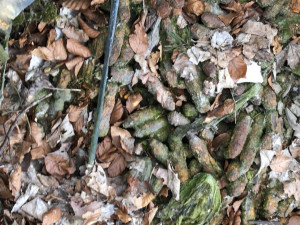 Našel jsem stovky kusů munice z války, volal policistům muž pracující s detektorem kovů