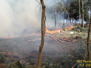 Sedm jednotek hasičů odpoledne bojovalo s požárem v lese na Sušicku