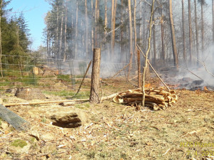 Sedm jednotek hasičů odpoledne bojovalo s požárem v lese na Sušicku
