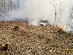 Sedm jednotek hasičů odpoledne bojovalo s požárem v lese na Sušicku