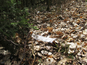 V městských lesích zůstává nepořádek