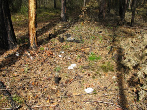 V městských lesích zůstává nepořádek