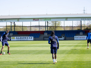 Viktoriáni se konečně dočkali, po měsíci si mohli opět společně zatrénovat