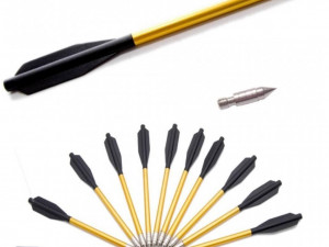 Odporný útok na živého tvora! Kačer má hlavu probodnutou šípem a přesto žije a létá