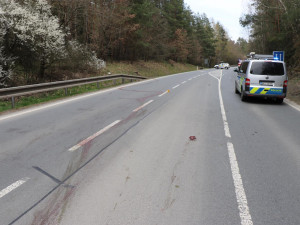 Srnec nehodu nepřežil. Na silnici zůstaly jen krvavé stopy