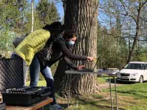 Monitorování zdravotního stavu a bezpečnosti dřevin v parku V Homolkách