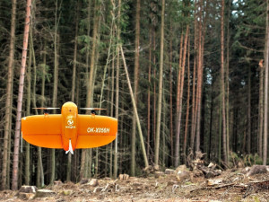 Drony s multispektrální kamerou pomáhají v Plzni včas odhalit stromy napadené kůrovcem