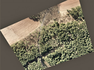 Z těchto map dokáží lesníci vyčíst, kde jsou kůrovcem napadené stromy