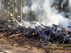 Hasiči u Plzně bojovali s požárem v lese, hořely tam hromady větví
