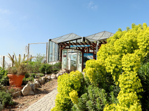 Zoo Plzeň mohla od dneška zpřístupnit venkovní expozice