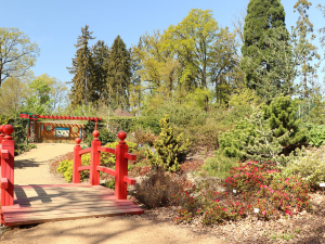 Zoo Plzeň mohla od dneška zpřístupnit venkovní expozice