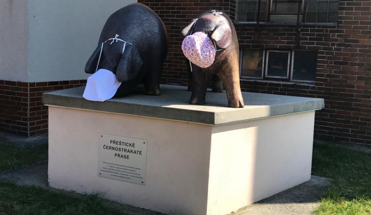 V době koronavirové epidemie nosilo v Přeštících roušku i slavné sousoší prasátek