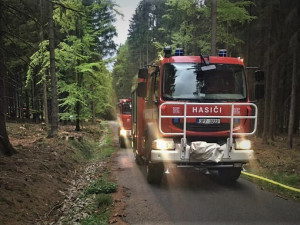 Hasiči na místě požáru v CHKO Brdy