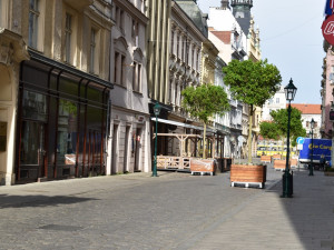 Zeleň na pěší zóně v Riegerově ulici