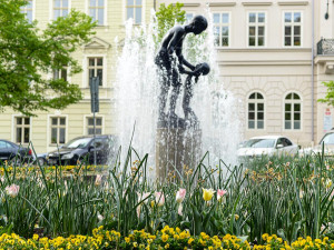 Barevnými květy teď září sadový okruh v historickém centru Plzně, přijďte se podívat