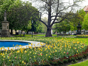 Barevnými květy teď září sadový okruh v historickém centru Plzně, přijďte se podívat