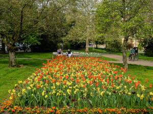 Barevnými květy teď září sadový okruh v historickém centru Plzně, přijďte se podívat