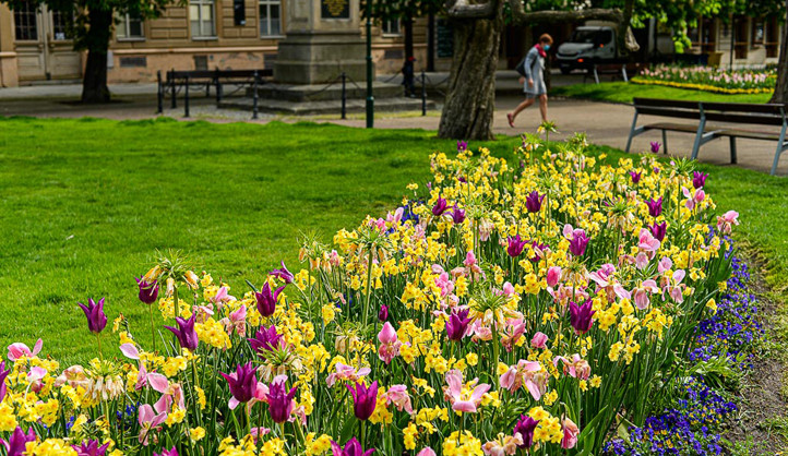 Sadový okruh teď září mnoha barvami