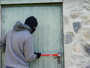 Spadla klec. Policisté dopadli muže, který má na svědomí sérii vloupání