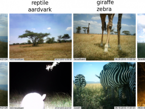 fotopasti v Serengeti