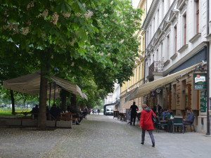 Velké návaly se nekonají. První otevření zahrádek zhatilo počasí