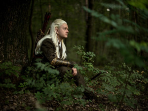 kostým elfa Legolase z Pána prstenů