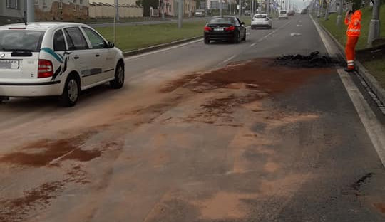 99073834_10215957963132189_875320197555159040_n