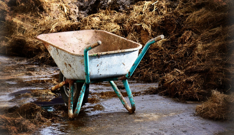 Za únik mrvy z kravína do půdy dostali zemědělci pokutu od ČIŽP