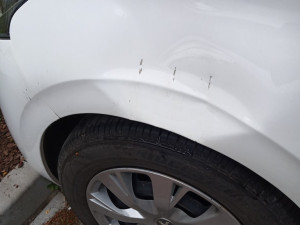 Zaběhlý pes nejspíš nemá rád auta, na Doubravce se na jednom pěkně vyřádil