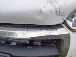 Zaběhlý pes nejspíš nemá rád auta, na Doubravce se na jednom pěkně vyřádil