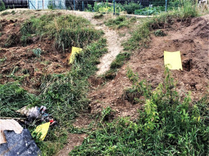 u domu nalezli psí hriby