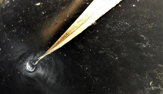 Na dně této trubky v hloubce pěti metrů se nachází zvíře v ohrožení života