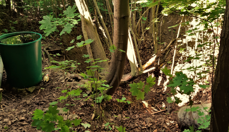 Na dně této jámy prožil muž několik dní a nocí. Sám se nedokázal dostat ven
