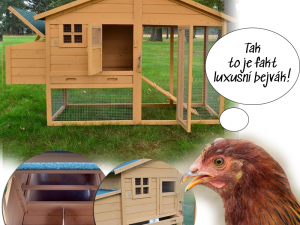Slepičář: O slepice je stále větší zájem. Lidé chtějí žít zdravě, mít ke snídani domácí vajíčka