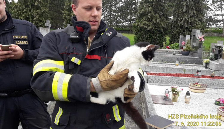 Hasiči zachránili kočičku, která se dostala nezjištěným způsobem do jednoho hrobu a sama se bez pomoci nedokázala dostat ven