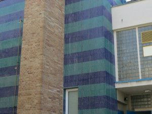 Pozorná svědkyně odhalila tragédii na komíně s čapí rodinkou a spustila záchrannou akci