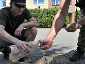 Pozorná svědkyně odhalila tragédii na komíně s čapí rodinkou a spustila záchrannou akci