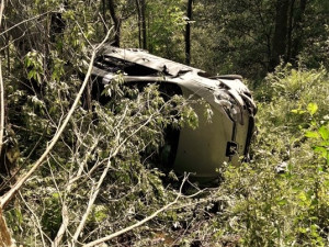 Auto vyletělo ze silnice a skončilo na boku uprostřed bujné vegetace