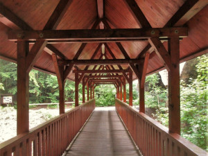 Turistická lávka přes roklinu u Zábělé prošla rekonstrukci a vybízí k procházce