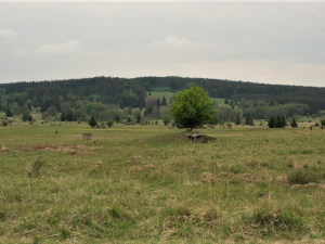 Brdskou magistrálu vyznačí Klub českých turistů, časem povede až do Prahy