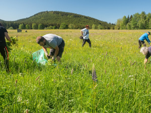 S lupinou vyráží do boje i dobrovolníci,