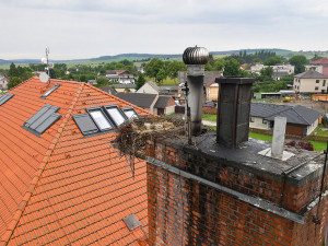 Z čapího hnízda neodtékala voda a hrozilo, že mláďata zahynou