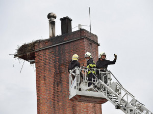 Z čapího hnízda neodtékala voda a hrozilo, že mláďata zahynou