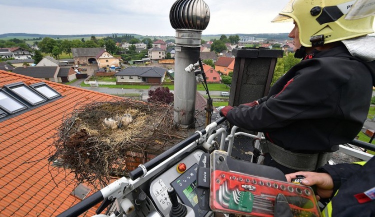 Čápům napršelo do hnízda a hrozilo, že se mláďata utopí